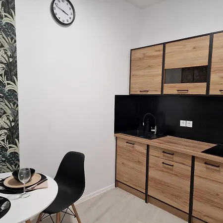 Schmidt Apartman Miskolc Belvarosaban מראה חיצוני תמונה